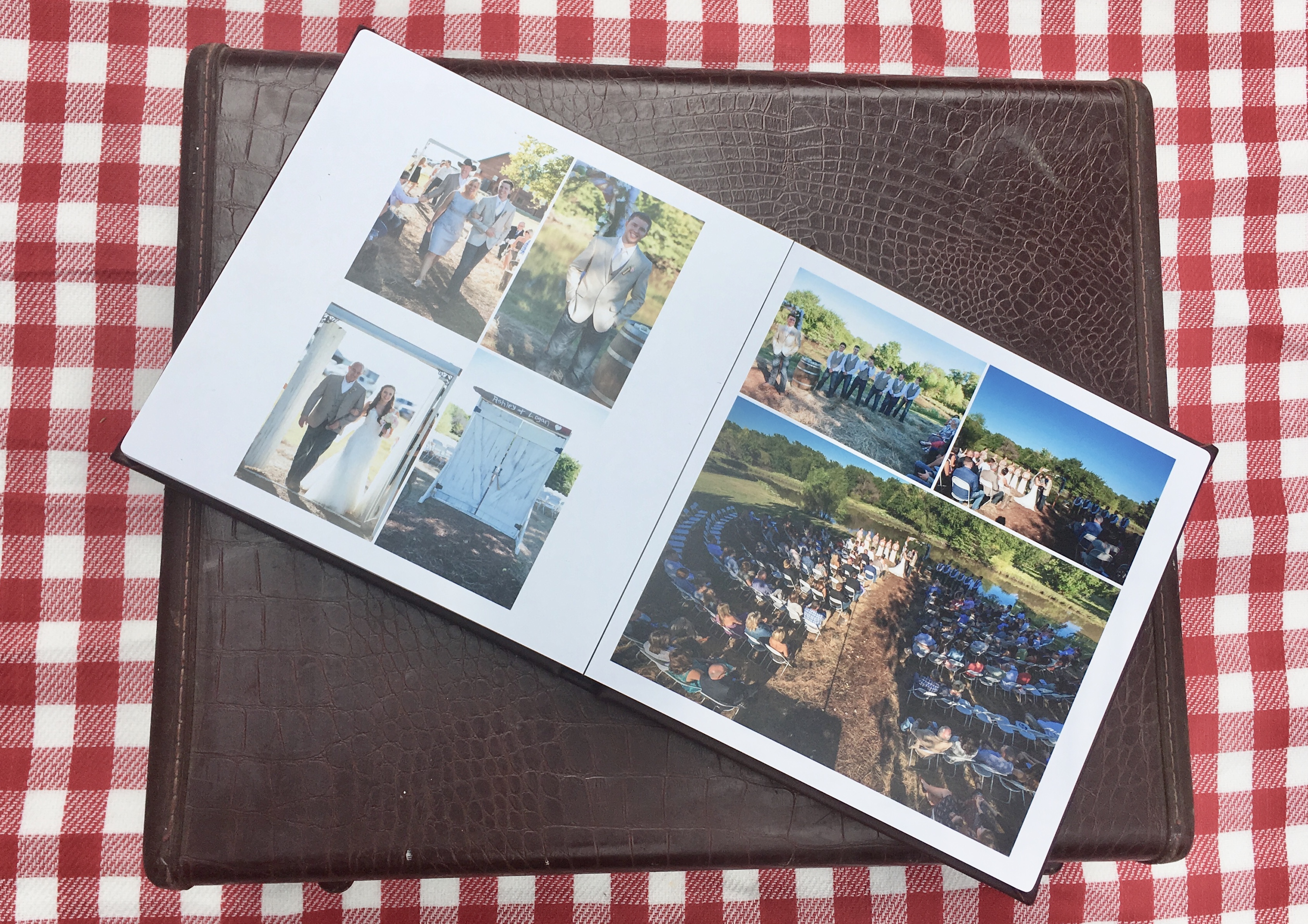 wedding photos, old suit case, picnic anniversary