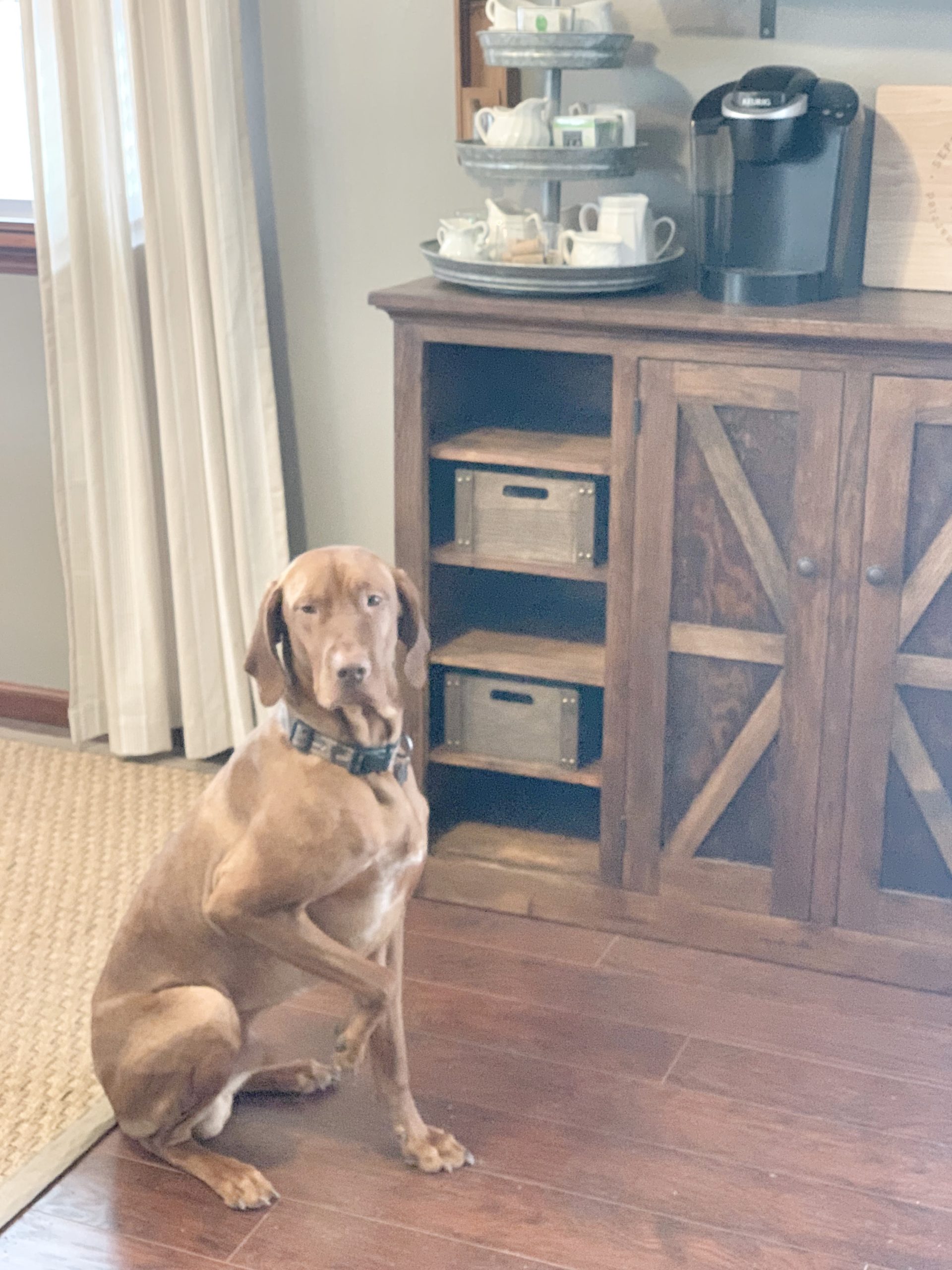 Coffee Bar Cabinet Flip — Ashley Diann Designs